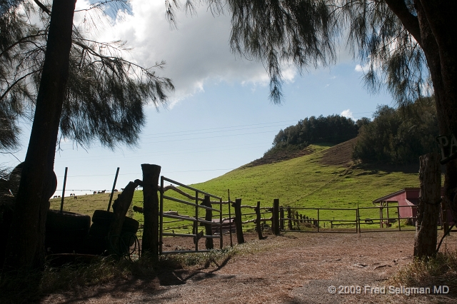 20091101_143851 D300.jpg - Ranch along Kohala Mountain Road, Hawaii